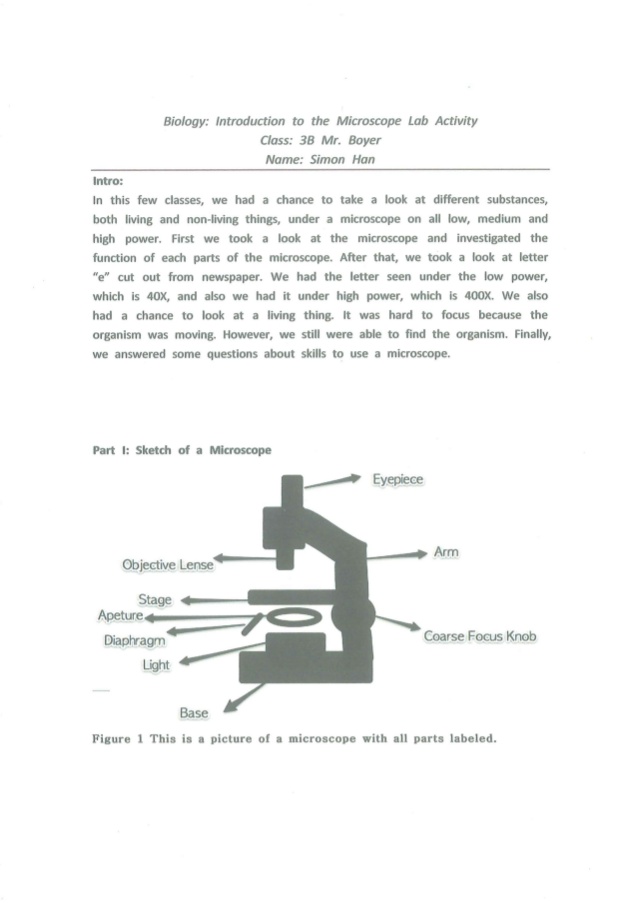 Introduction: Physical and chemical changes are associated with energy changes.