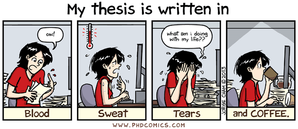 Professional thesis writers